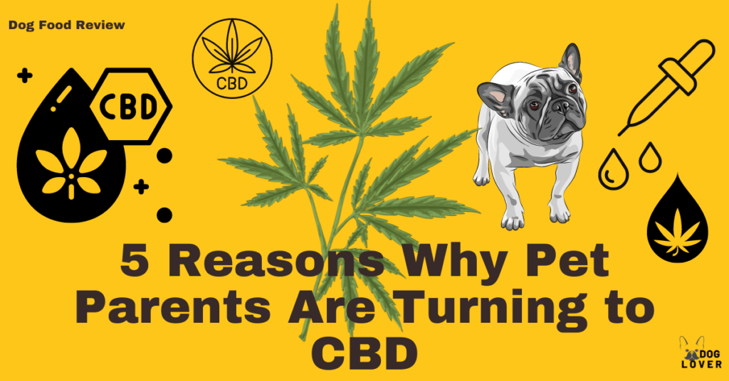 Why pet owners are turing to CBD