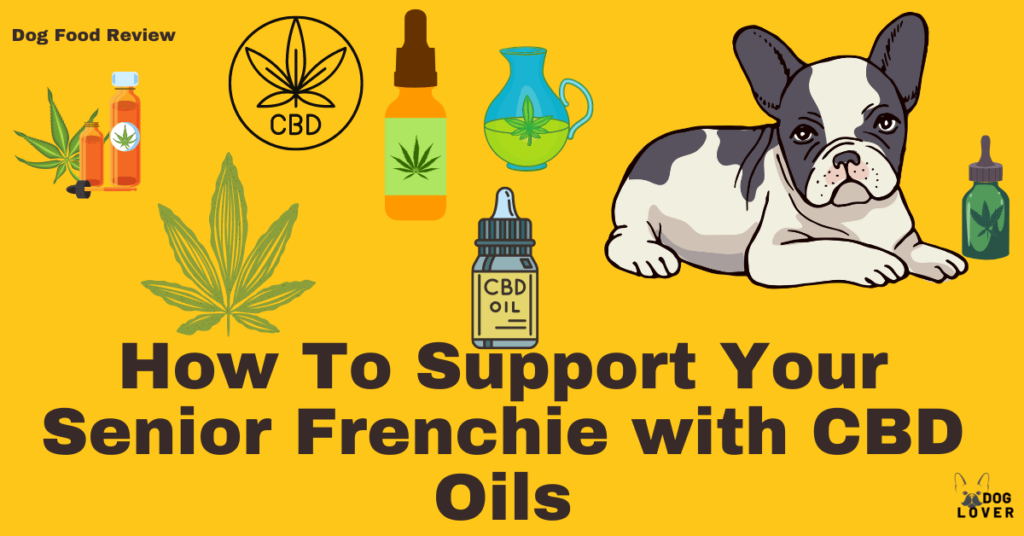 How to support your senior Frenchie with CBD