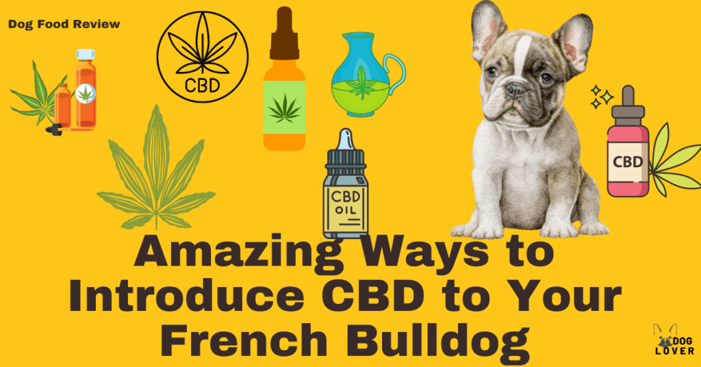 Introducing CBD to your French Bulldog