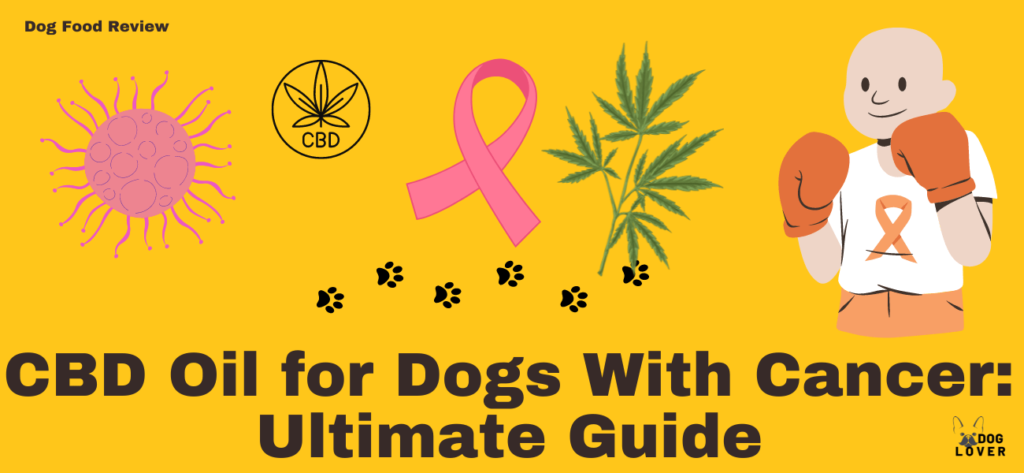 CBD Oil for dogs with cancer