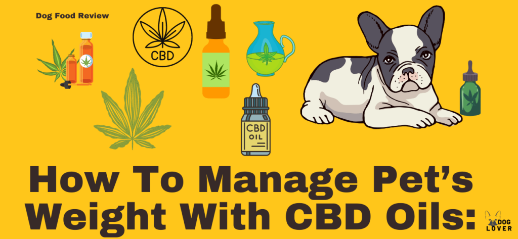 How to manage pets weight with CBD oils