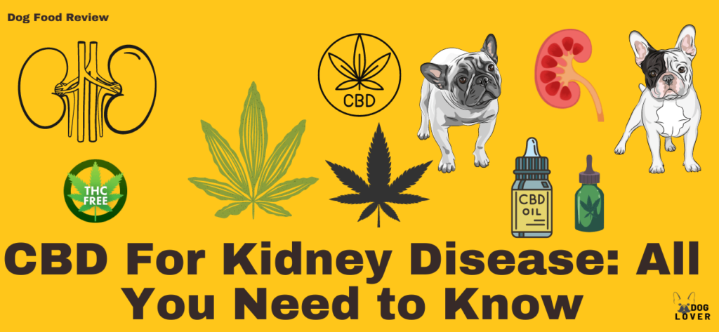 CBD for kidney disease