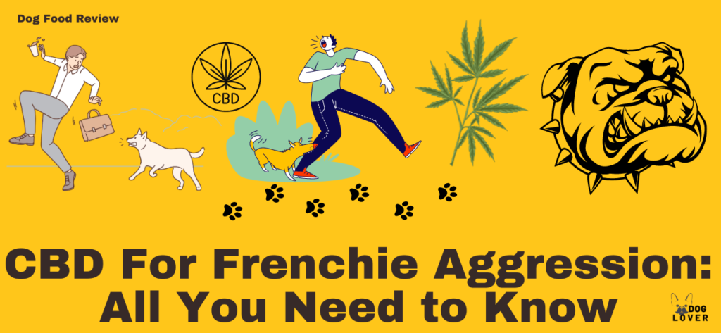 CBD for Frenchie Aggression