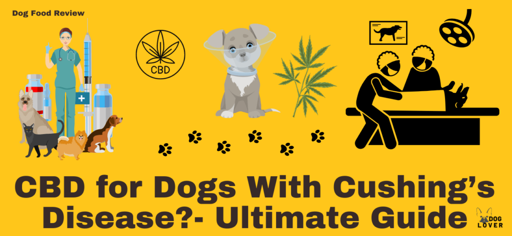 CBD for dogs with Cushing's disease