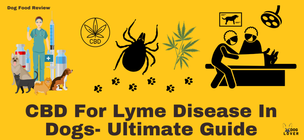 CBD for Lyme disease in dogs