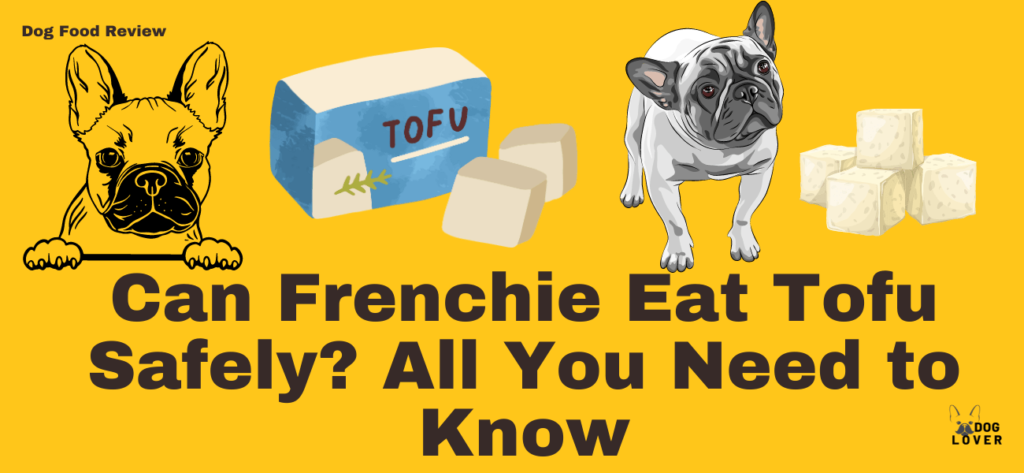 Can Frenchie eat Tofu