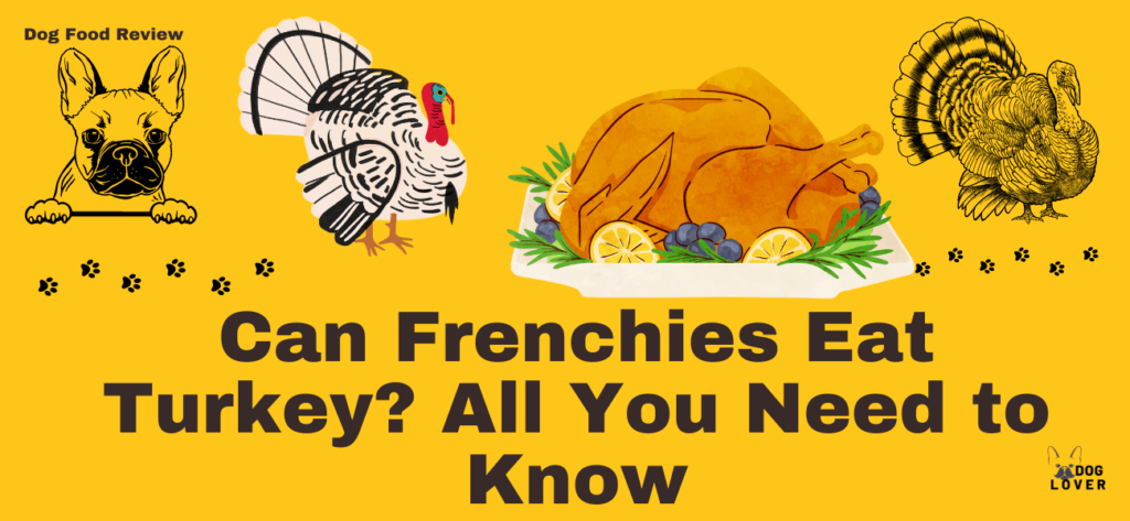 Can Frenchies eat turkey