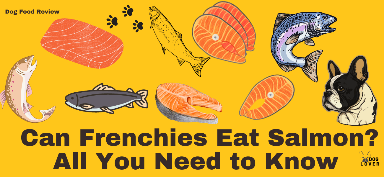 can frenchies eat salmon