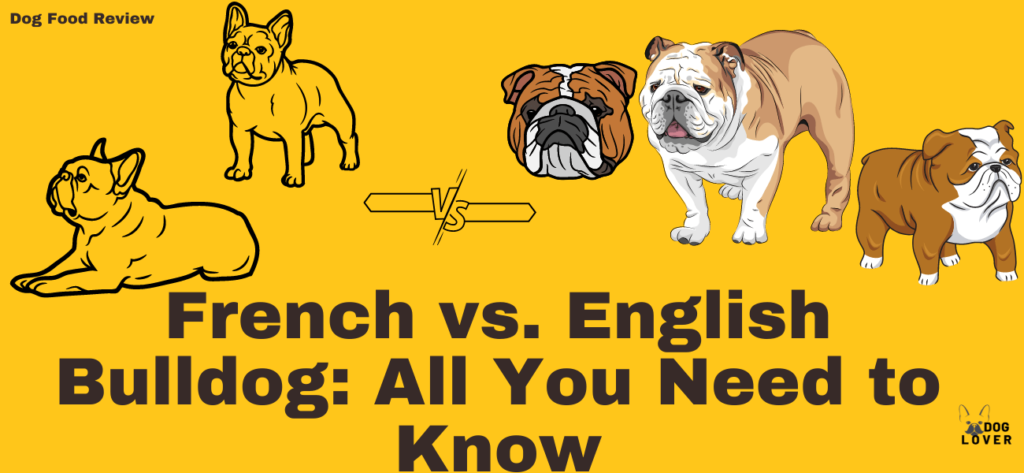 French vs. English Bulldogs