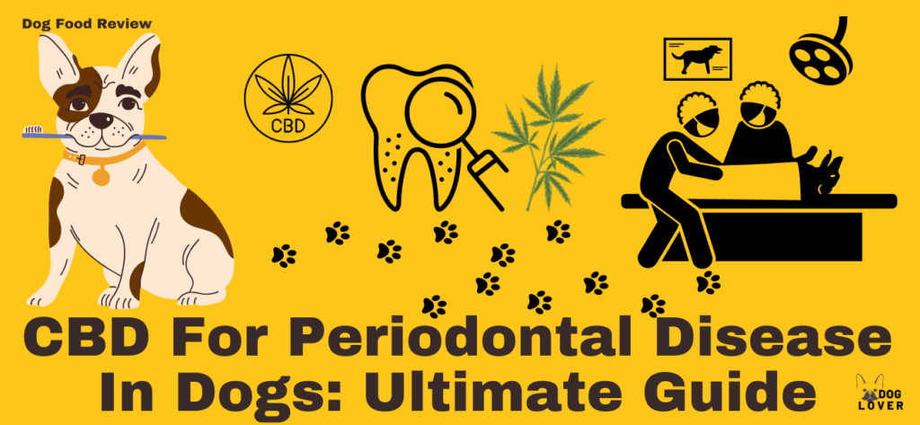 CBD For Periodontal Disease
