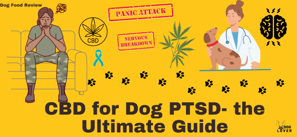 CBD for dog PTSD