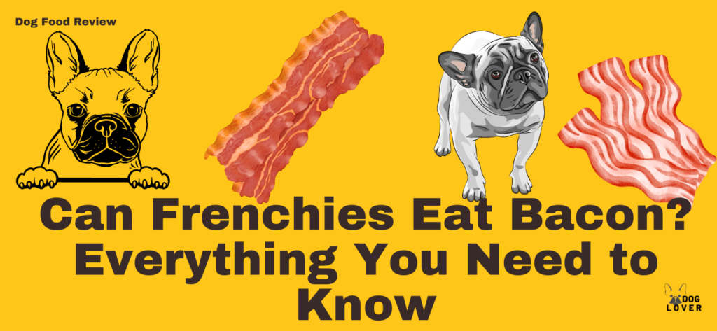Can Frenchies eat bacon