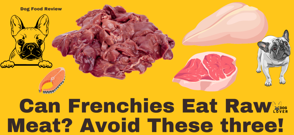 Can Frenchie eat raw meat