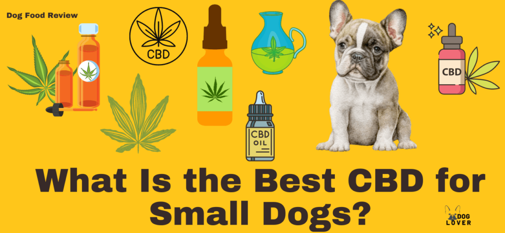 Best CBD for small dogs