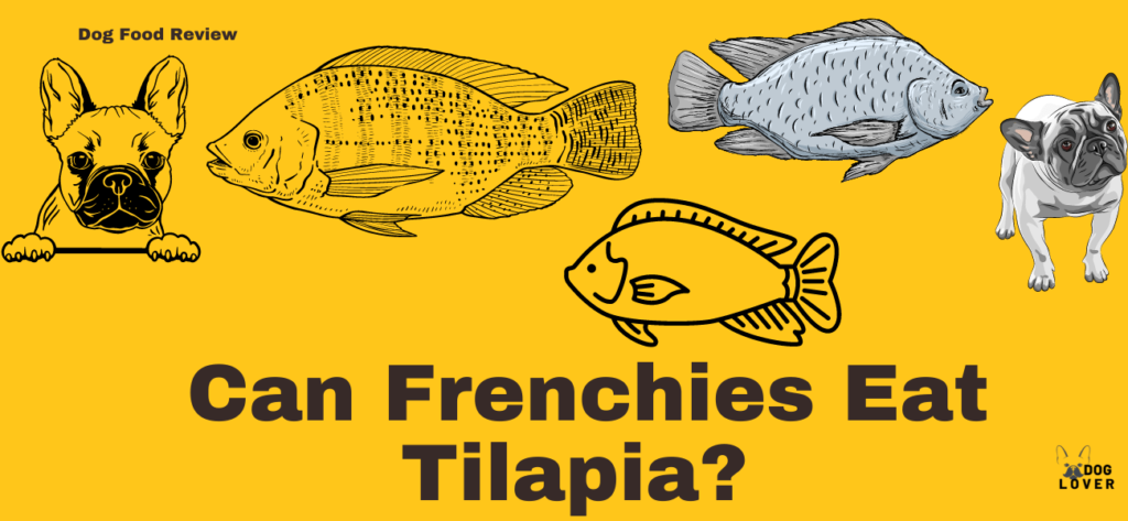 Can Frenchies eat tilapia