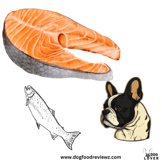 Can Frenchies eat salmon
