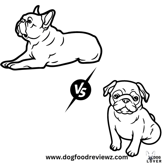 French Bulldog vs. Pug