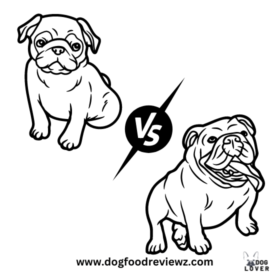 French Bulldog vs. Pug