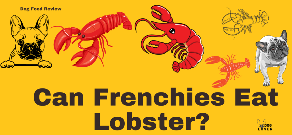 Can Frenchies eat lobster?