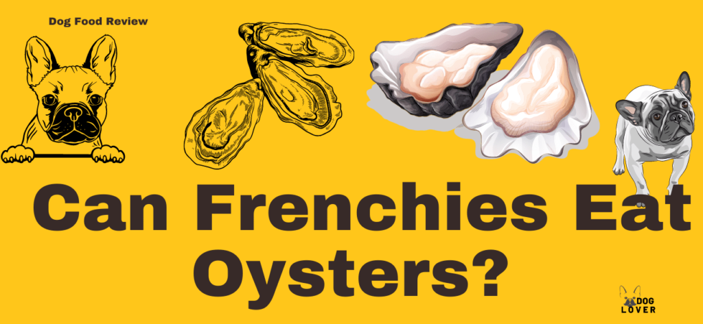 Can Frenchies eat oysters