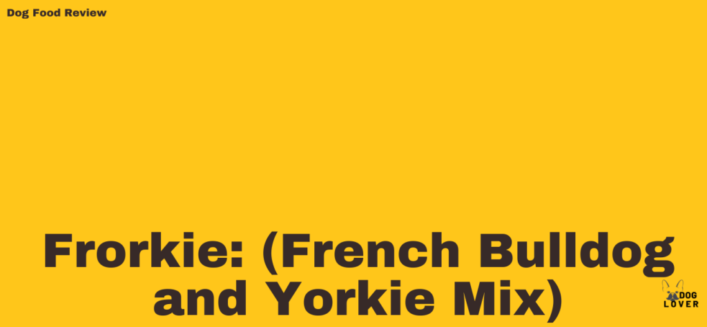 French bulldog and Yorkie mix