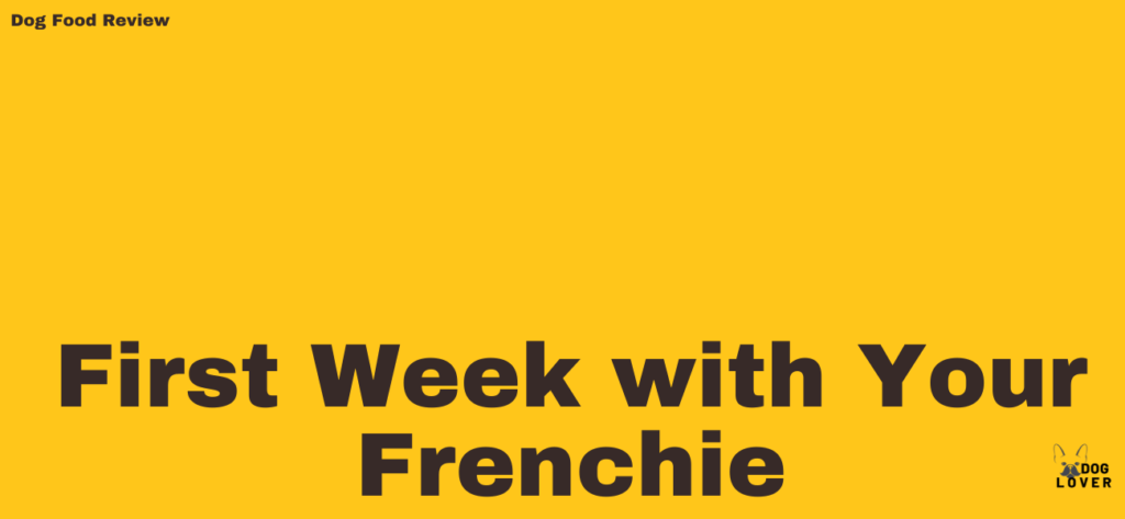 First Week with Your Frenchie