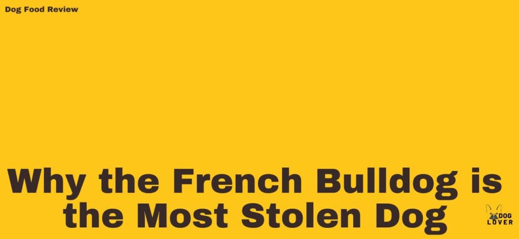 Why the French Bulldog is the Most Stolen Dog