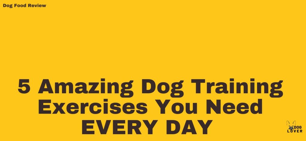 Dog Training Exercise