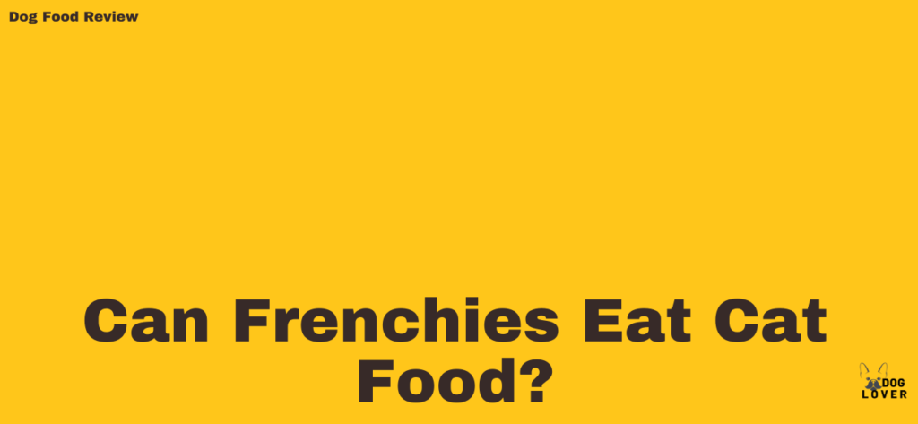 Can Frenchies Eat Cat Food?