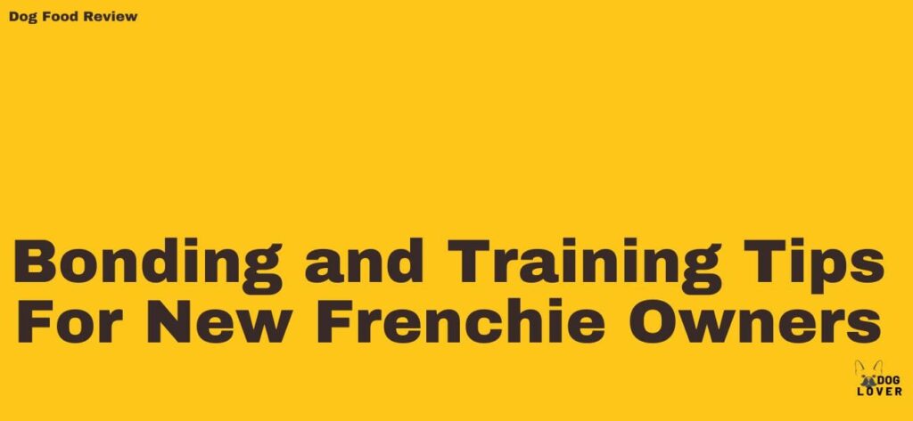Bonding and Training Tips For New Frenchie Owners