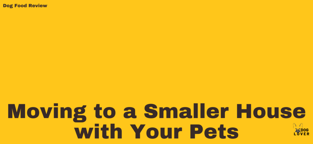 Moving to a Smaller House with Your Pets