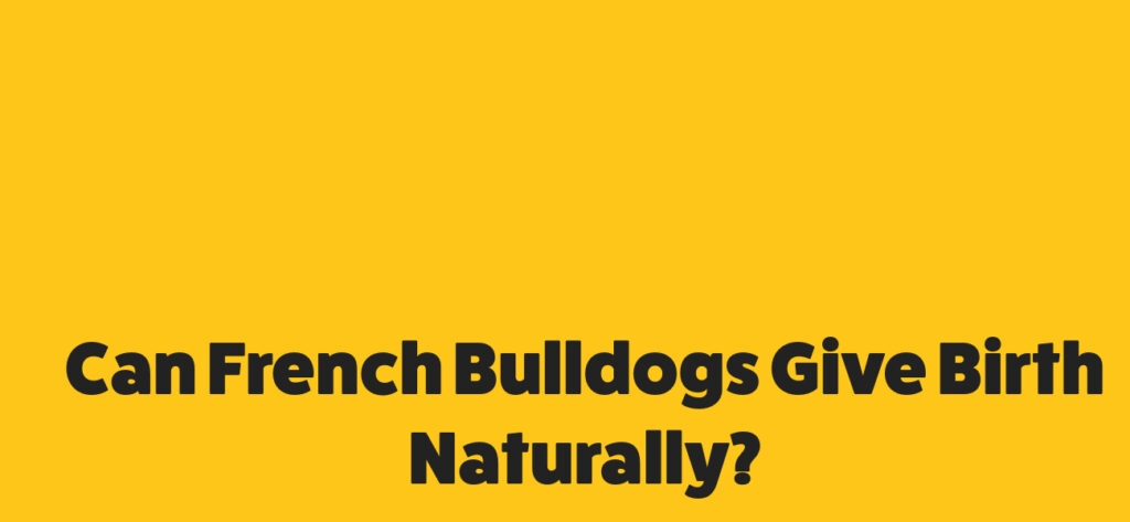 Can French Bulldogs Give Birth Naturally?