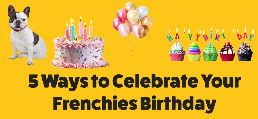 Ways to Celebrate Your Frenchies Birthday