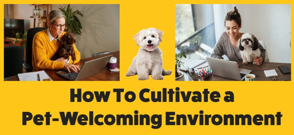 How To Cultivate a Pet-Welcoming Environment
