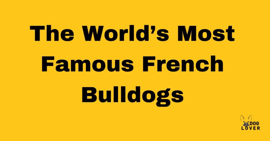The World’s Most Famous French Bulldogs