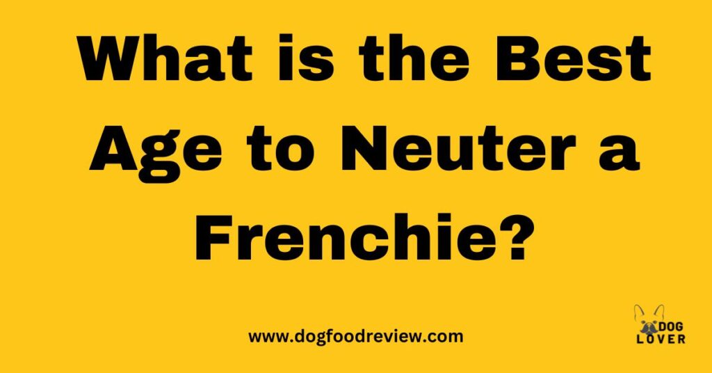 Best age to neuter a Frenchie
