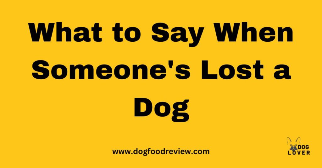 What to Say When Someone's Lost a Dog