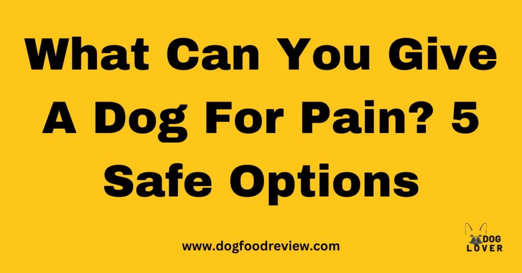 Pain management in dogs