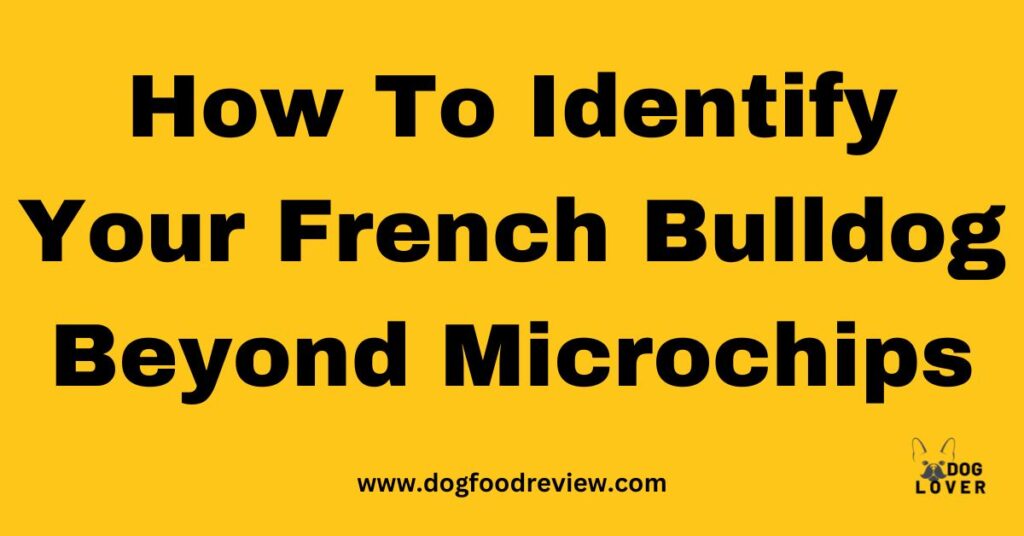 Identify your French Bulldog