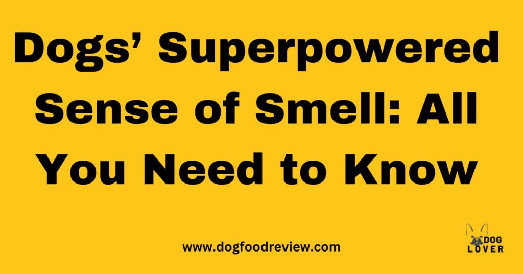 Dog's sense of smell