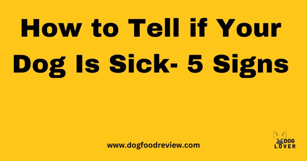 How to Tell if Your Dog Is Sick- 5 Signs