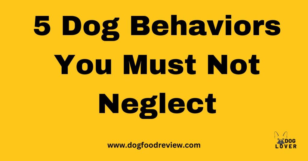 Dog Behaviors You Must Not Neglect