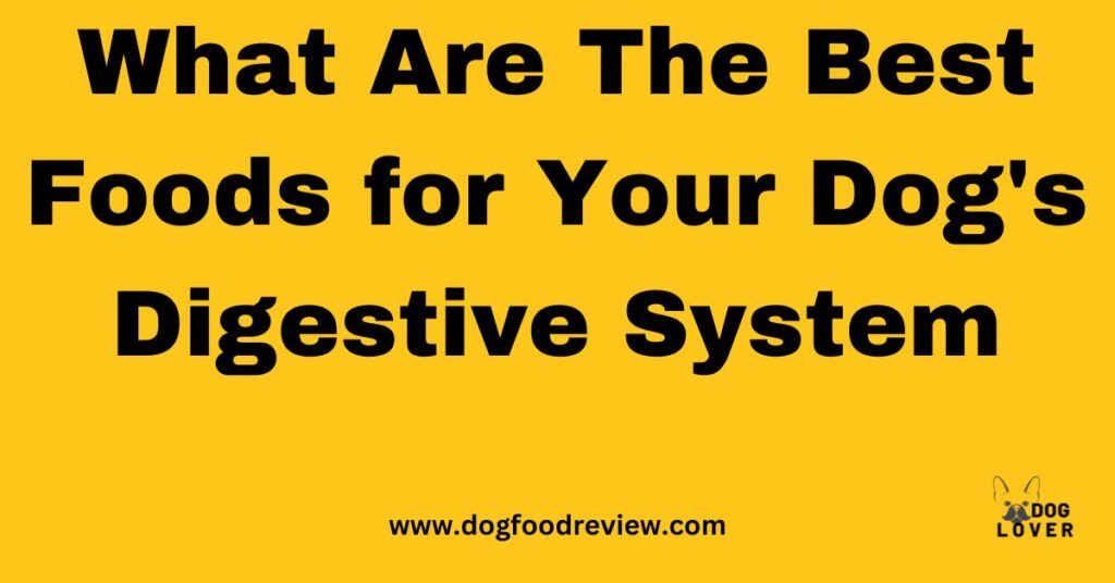 What Are The Best Foods for Your Dog's Digestive System