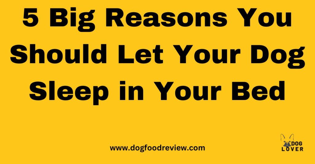 Benefits of dogs sleeping on your bed