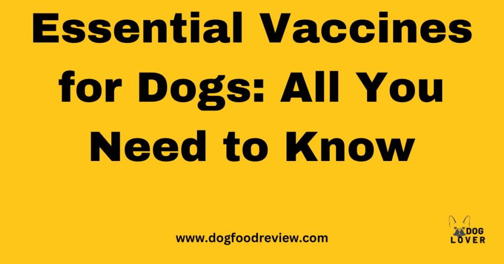 Essential Vaccines for Dogs: All You Need to Know