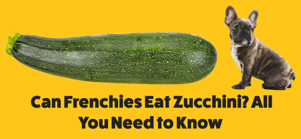 Can frenchies eat Zucchini