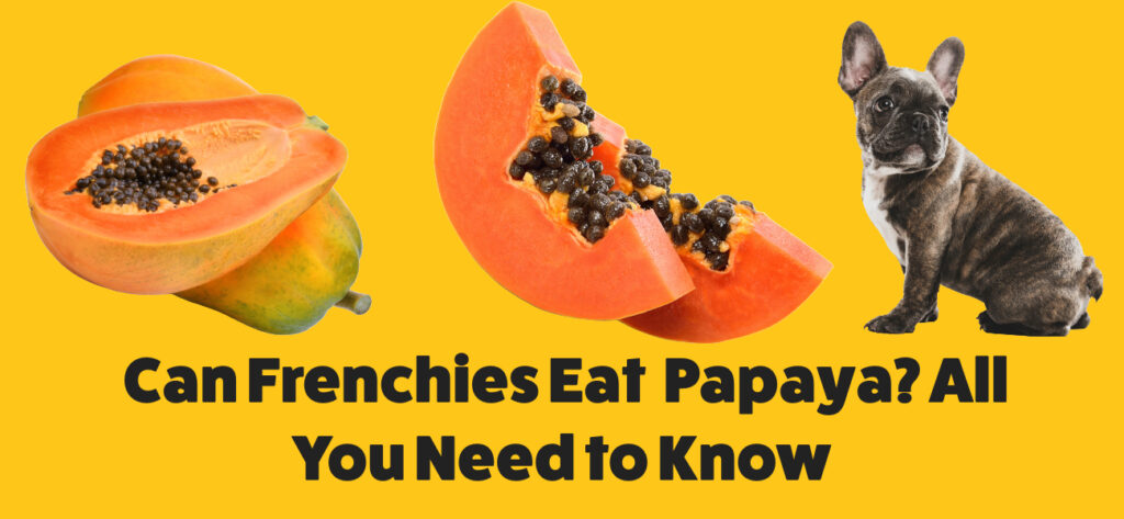 Can Frenchies eat papaya?