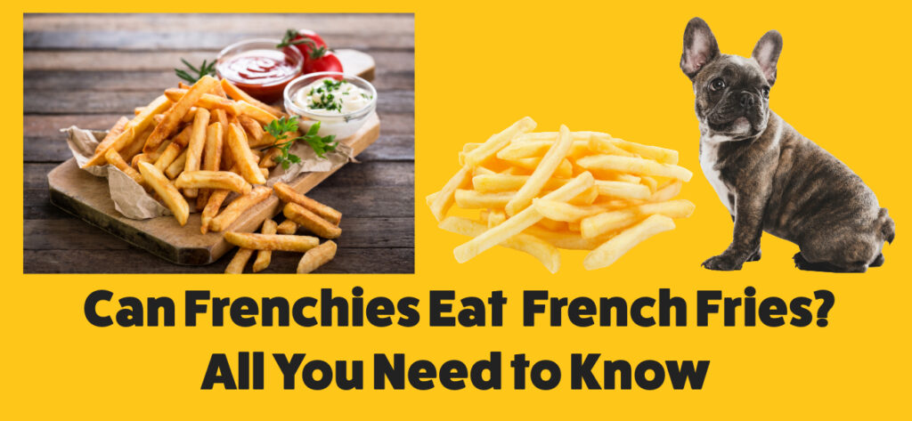 Can Frenchies eat French Fries