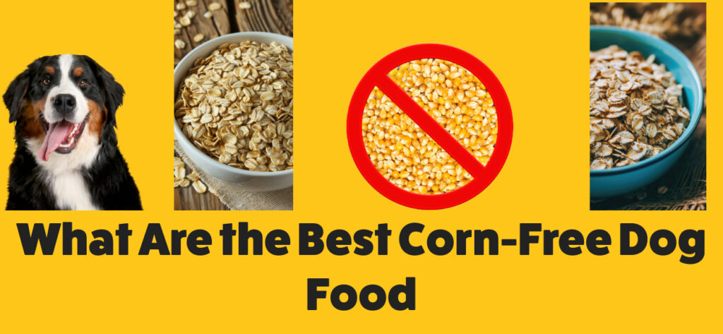 What Are the Best Corn-Free Dog Food -- Top 10 Reviewed