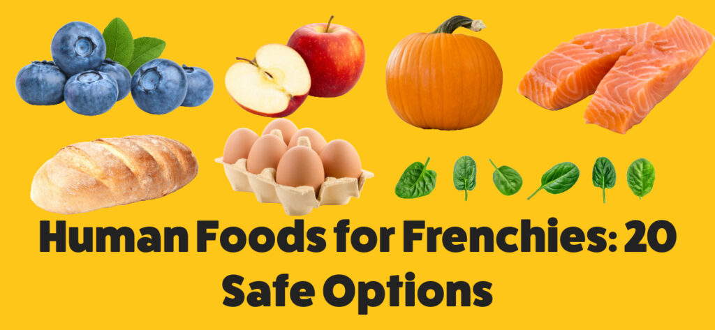 Human Foods for Frenchies